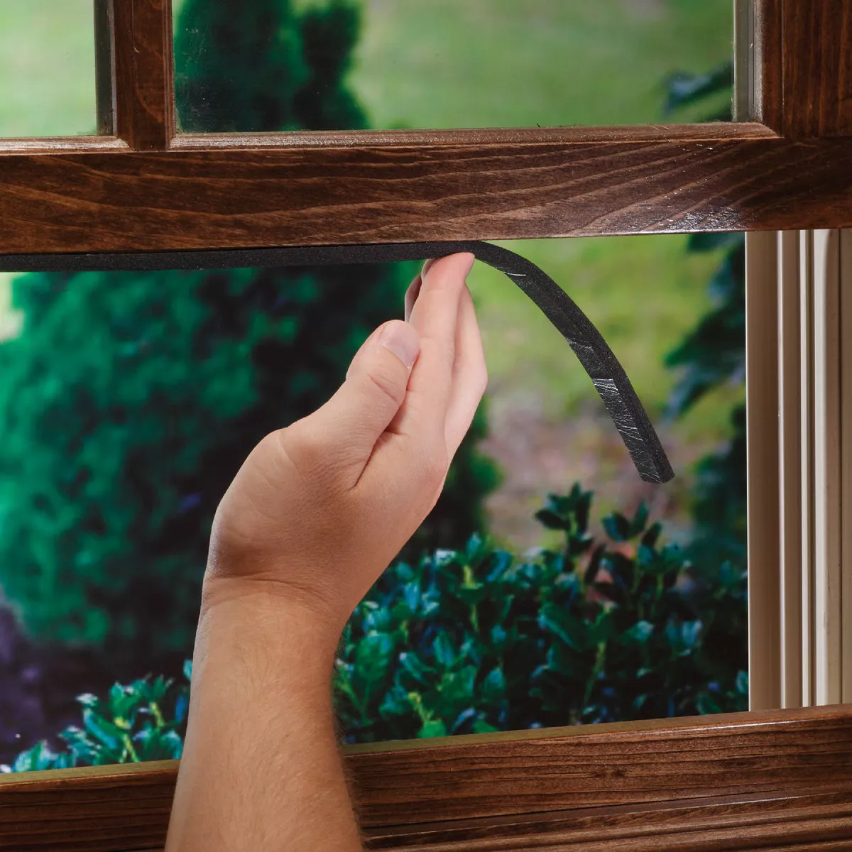 M-D Building Products 1/4 In. x 1/2 In. x 10 Ft. Black Sponge Window Seal for Ex-Small Gaps - photo 5