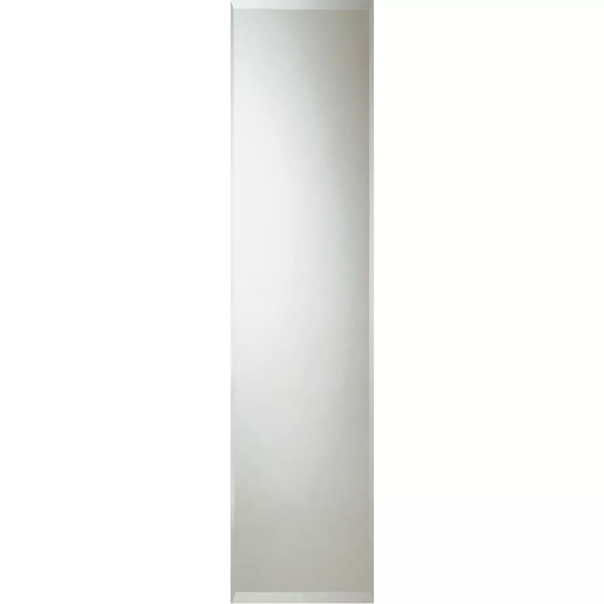 Erias Home Designs 16 In. W. X 60 In. H. Frameless Beveled Edge Door Mirror