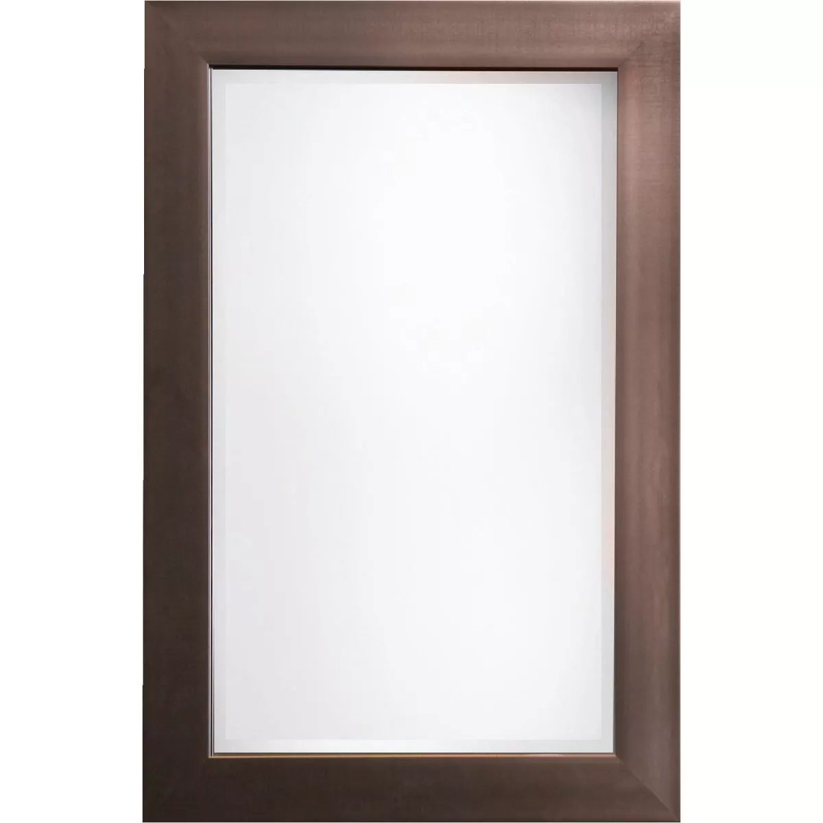Erias Home Designs Austin 24 In. W. x 36 In. H. Antique Pewter Plastic Framed Wall Mirror