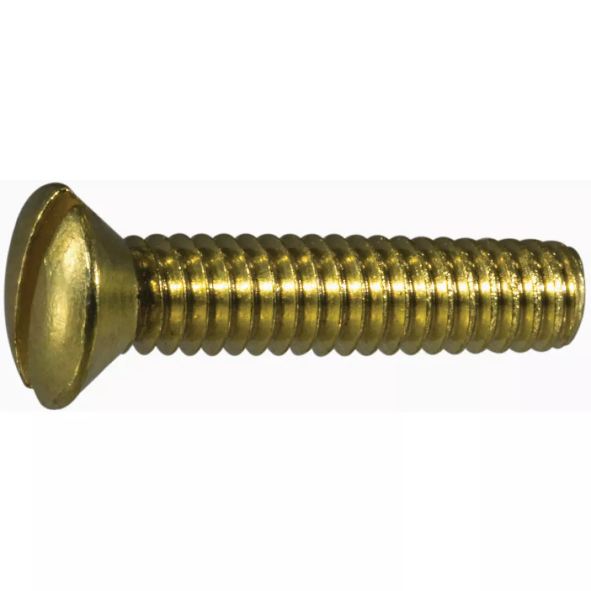 Midwest Fastener #8-32 x 3/4 In. Brass Coarse Thread Slotted Oval Head Machine Screws (36 Ct.)