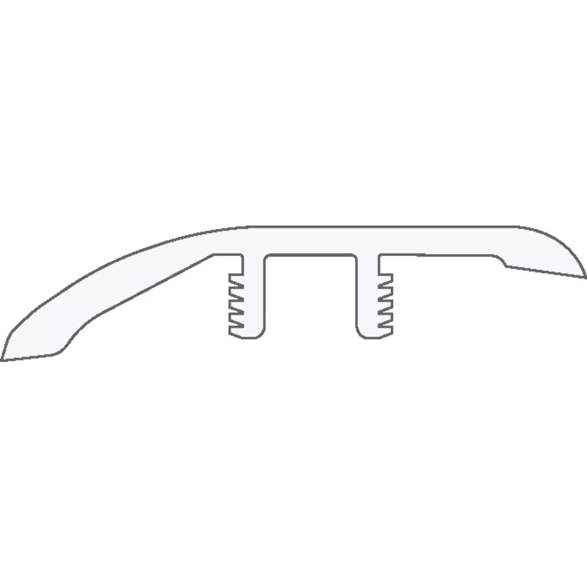 Shaw Coretec One Plus Multipurpose Reducer Salton Chestnut - photo 2
