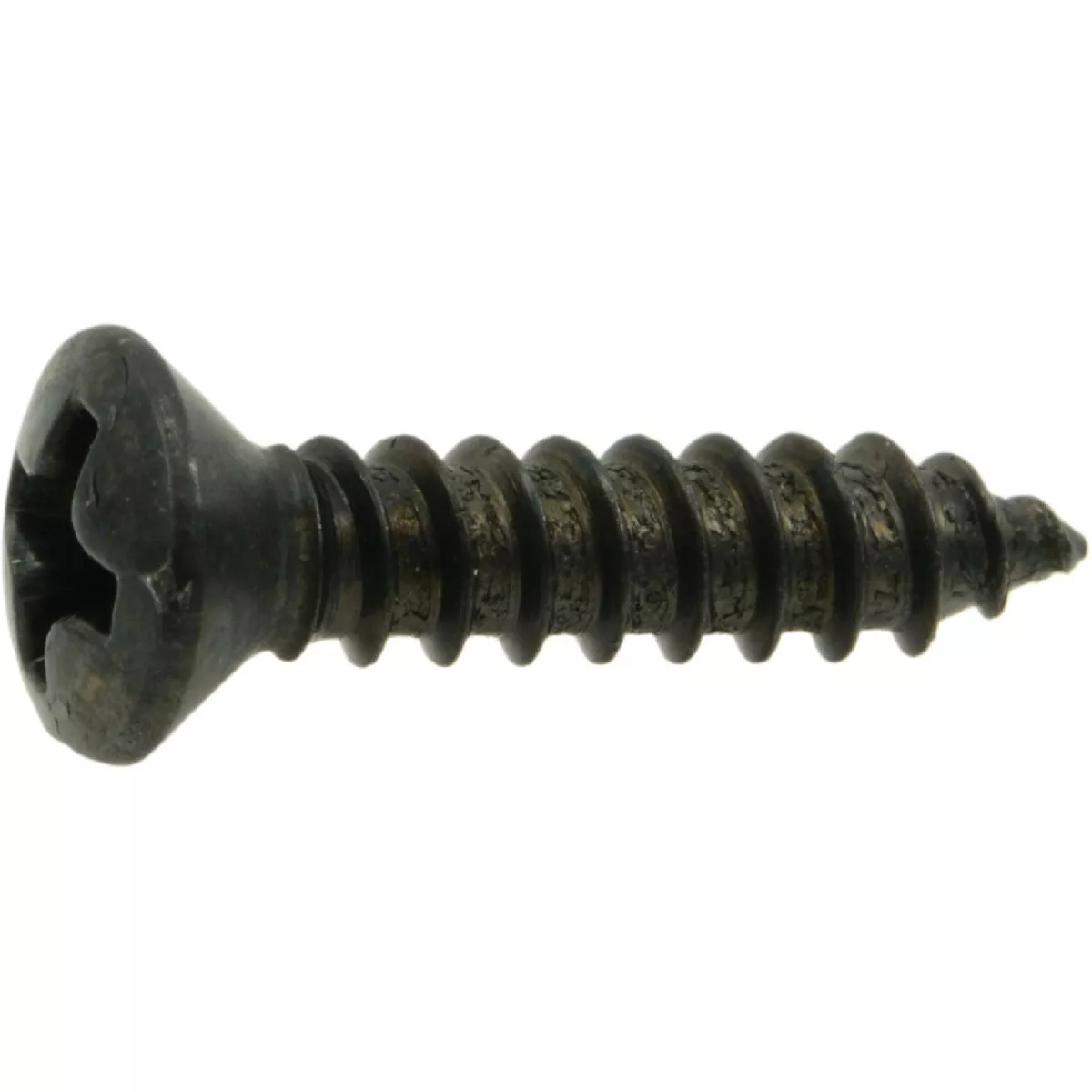 Midwest Fastener #6 x 5/8 In. Steel Phillips Oval Head Decorative Sheet Metal Screws (12 Ct.)-