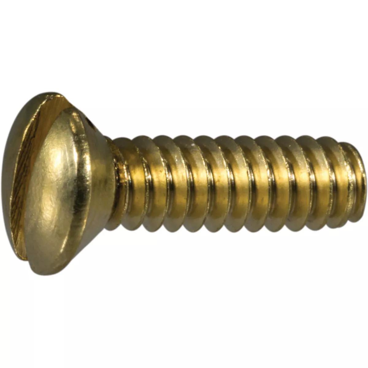 Midwest Fastener #6-32 x 1/2 In. Brass Coarse Thread Slotted Oval Head Machine Screws (12 Ct.)