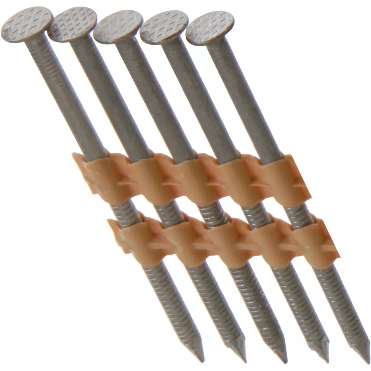 Grip-Rite 21 Degree Plastic Strip Stainless Steel Full Round Head ...