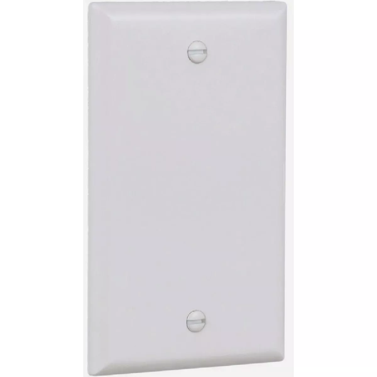 Eaton 1-Gang Standard Telephone & Coaxial Plastic Blank Wall Plate, White-