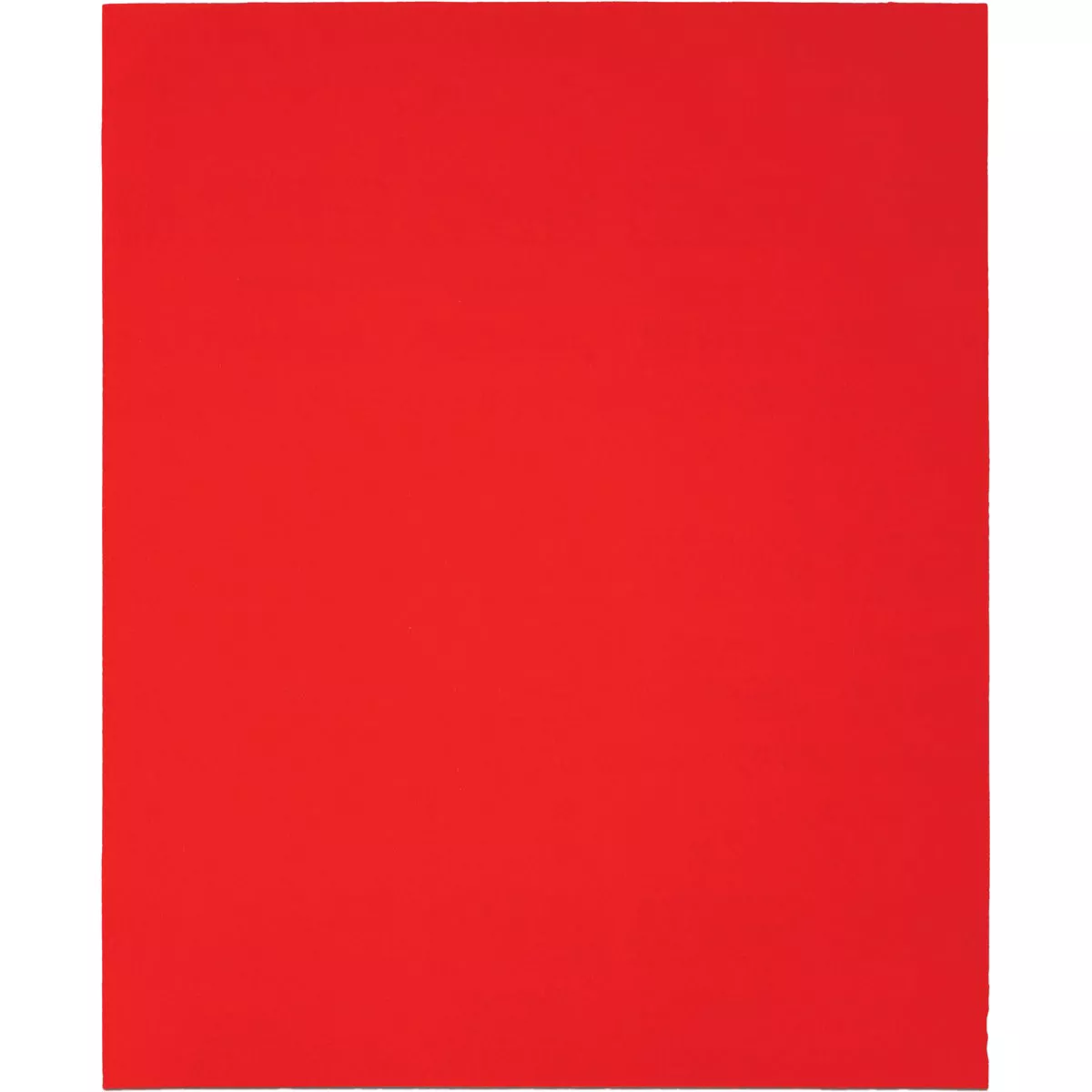 Diablo 9 In. x 11 In. 80-Grit (Coarse) Single Sanding Sheet