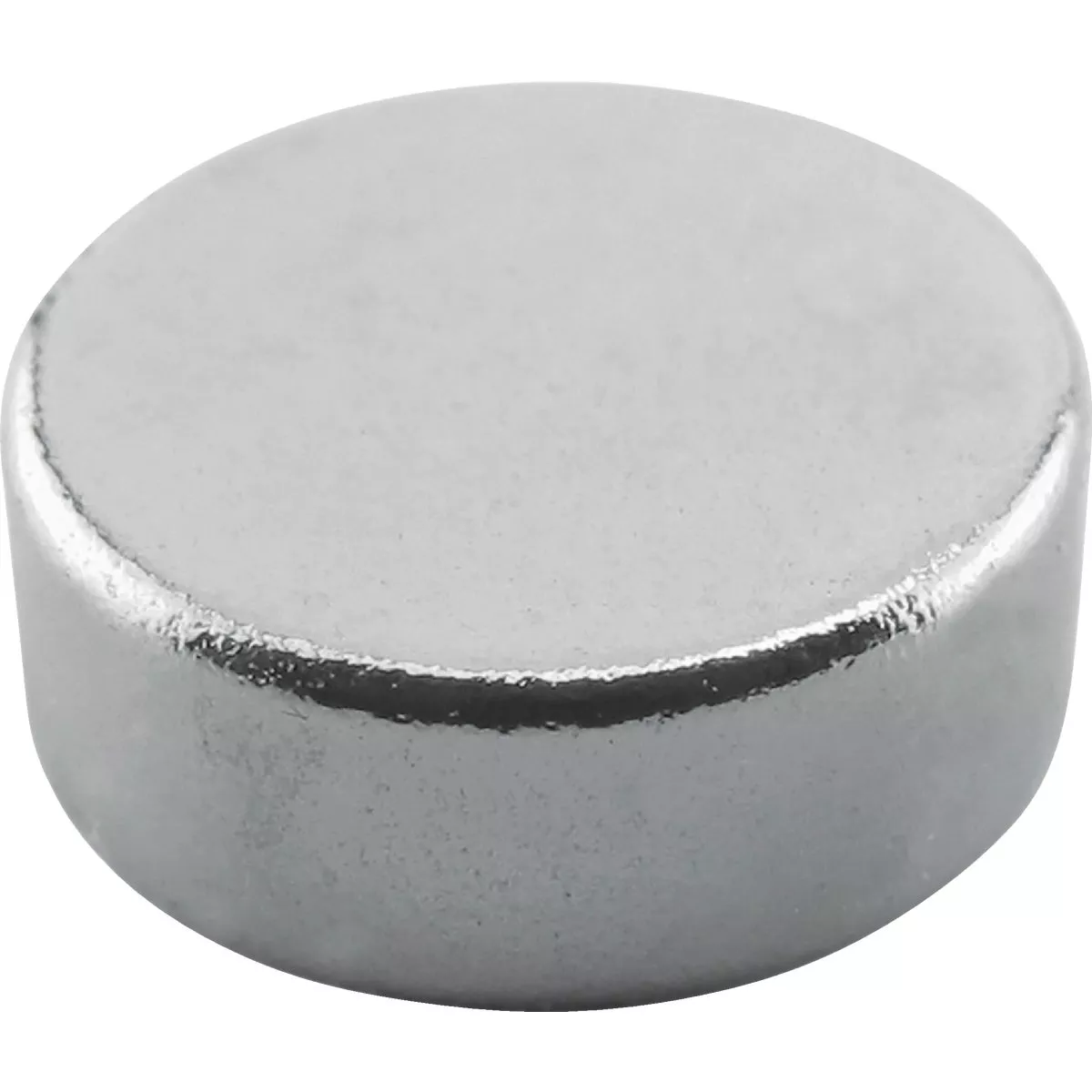Master Magnetics 0.315 in. Neodymium Disc Magnet (10-Pack)