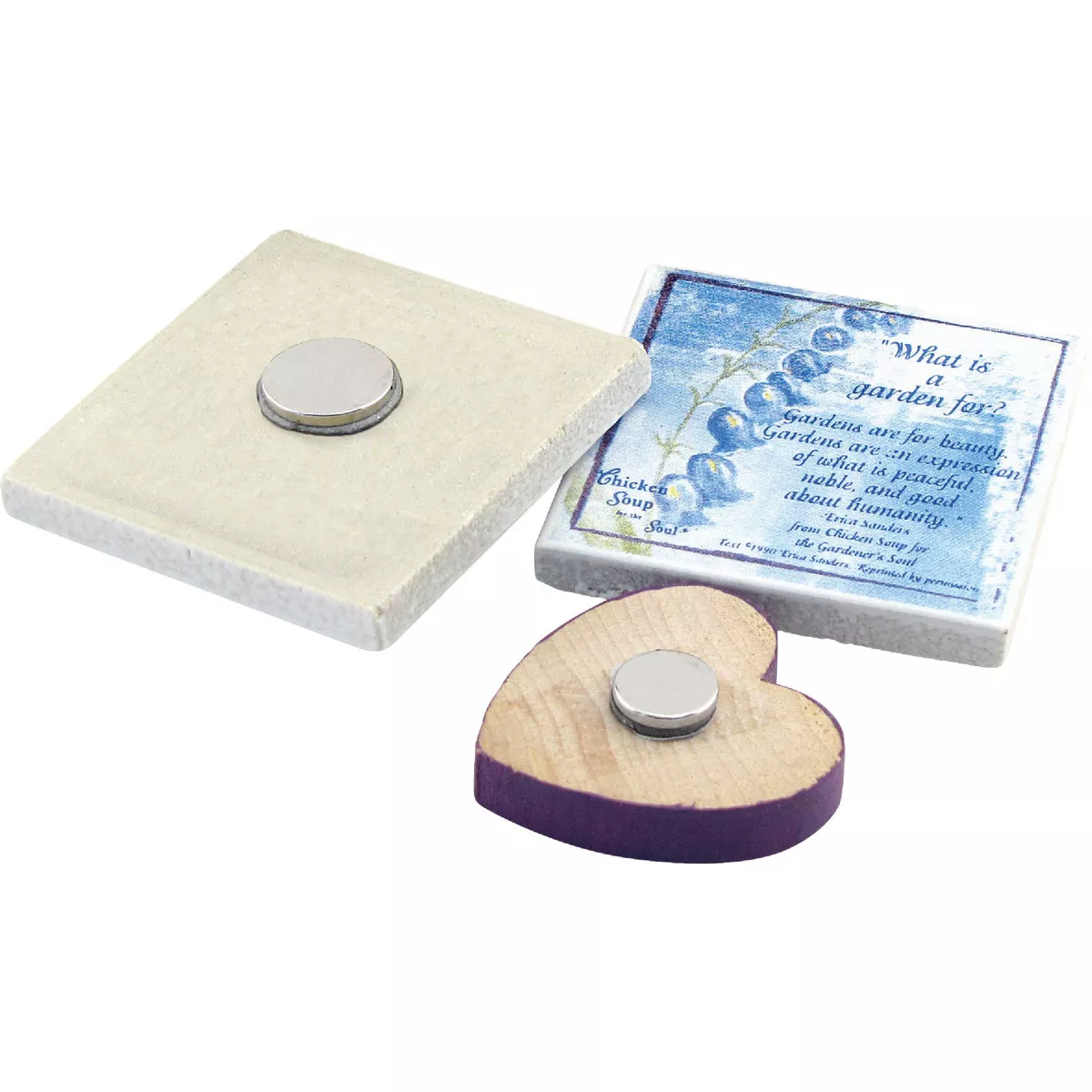 Master Magnetics 0.315 in. Neodymium Disc Magnet (10-Pack) - photo 6