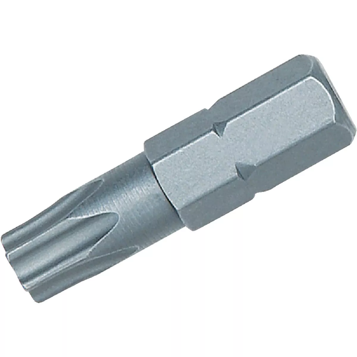 Irwin 1 In. T20 TORX Tamper-Resistant Insert Screwdriver Bit