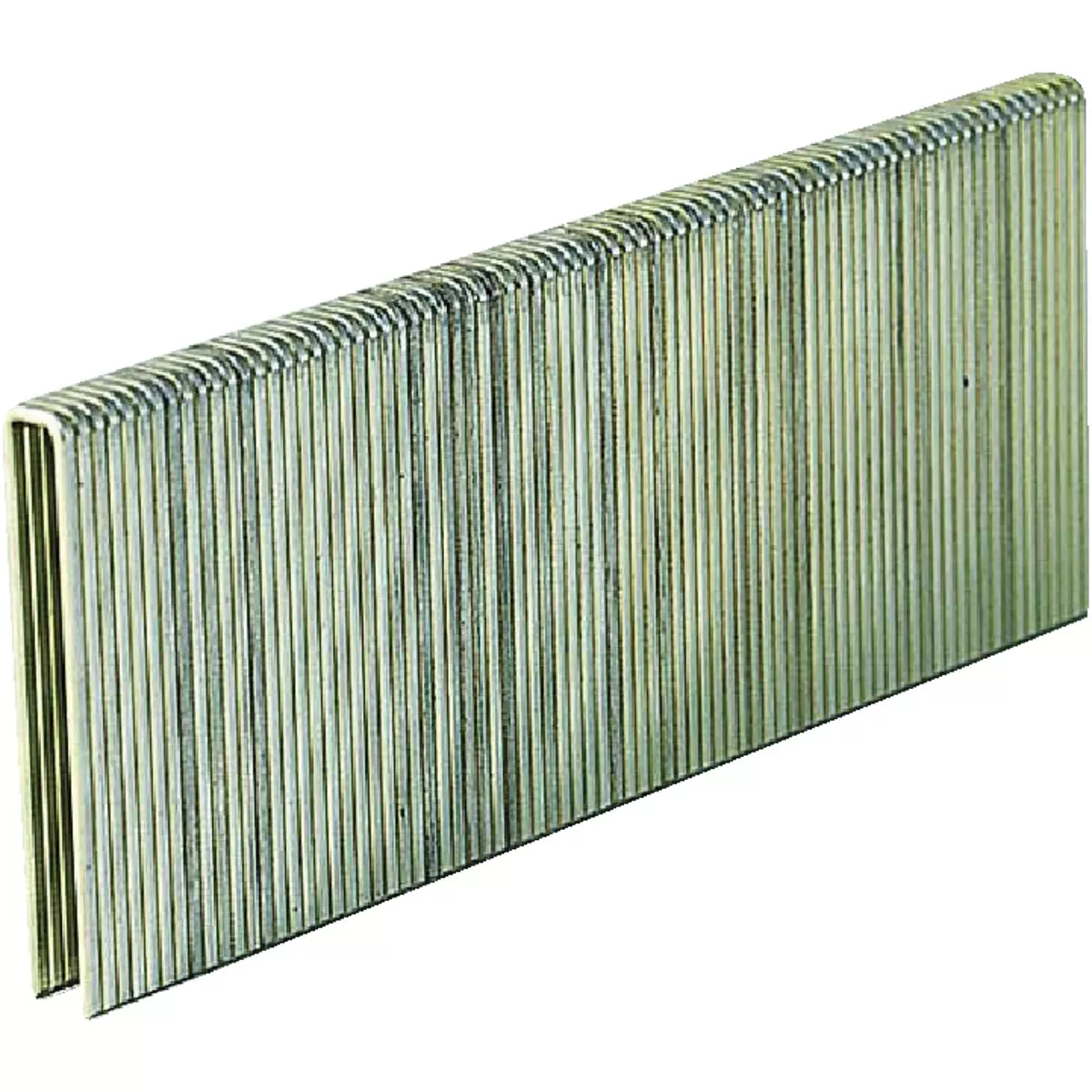 Grip-Rite 18-Gauge Galvanized L-Style Narrow Crown Finish Staple, 1/4 In. x 1-1/4 In. (5000 Ct.)