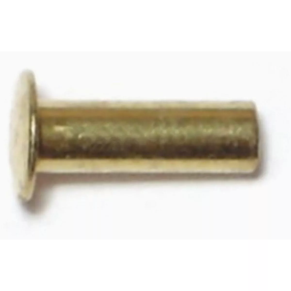 Midwest Fastener 1/8 In. x 3/8 In. Brass Plated Steel Tubular Rivet (48 Ct.)