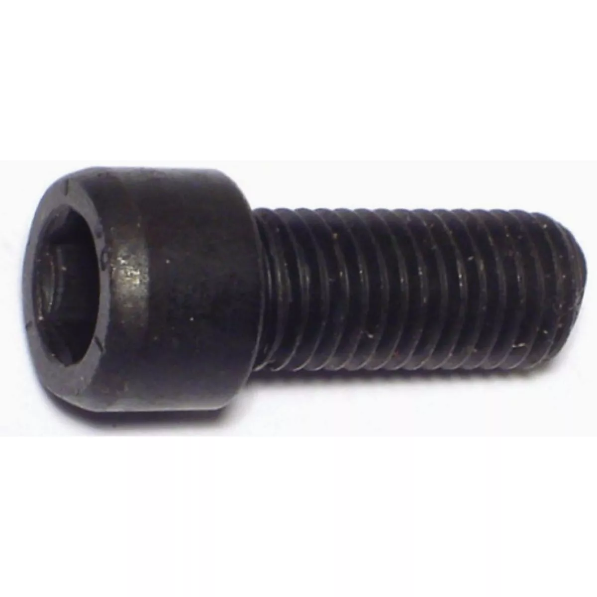 Midwest Fastener 5/16 In.-24 x 3/4 In. Plain Steel Fine Thread Socket Cap Screws (10 Ct.)