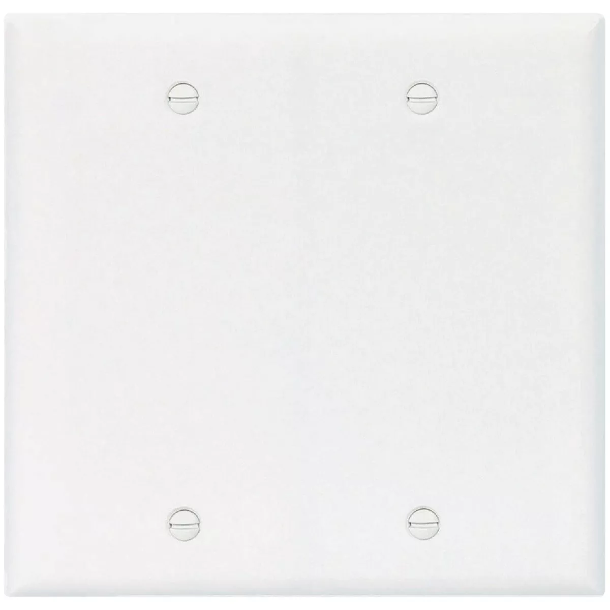 Eaton 2-Gang Standard Plastic Blank Wall Plate, White