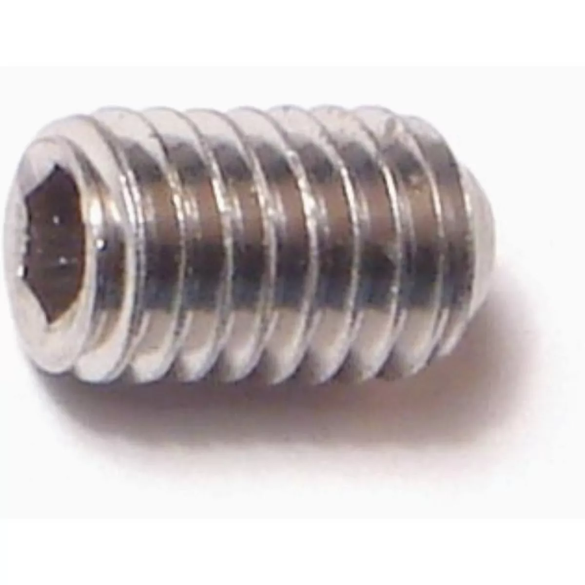 Midwest Fastener 6mm-1.0 x 10mm A2 Stainless Steel Coarse Thread Cup Point Hex Socket Headless Set Screws (8 Ct.)