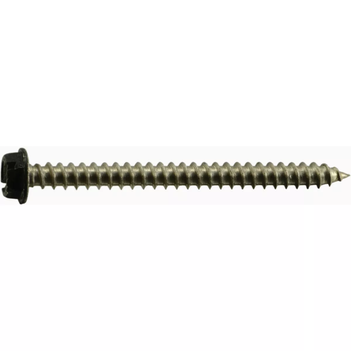 Midwest Fastener #8 x 2 In. Black Painted 18-8 Stainless Steel Hex Washer Head Sheet Metal Screws (1 Ct.)