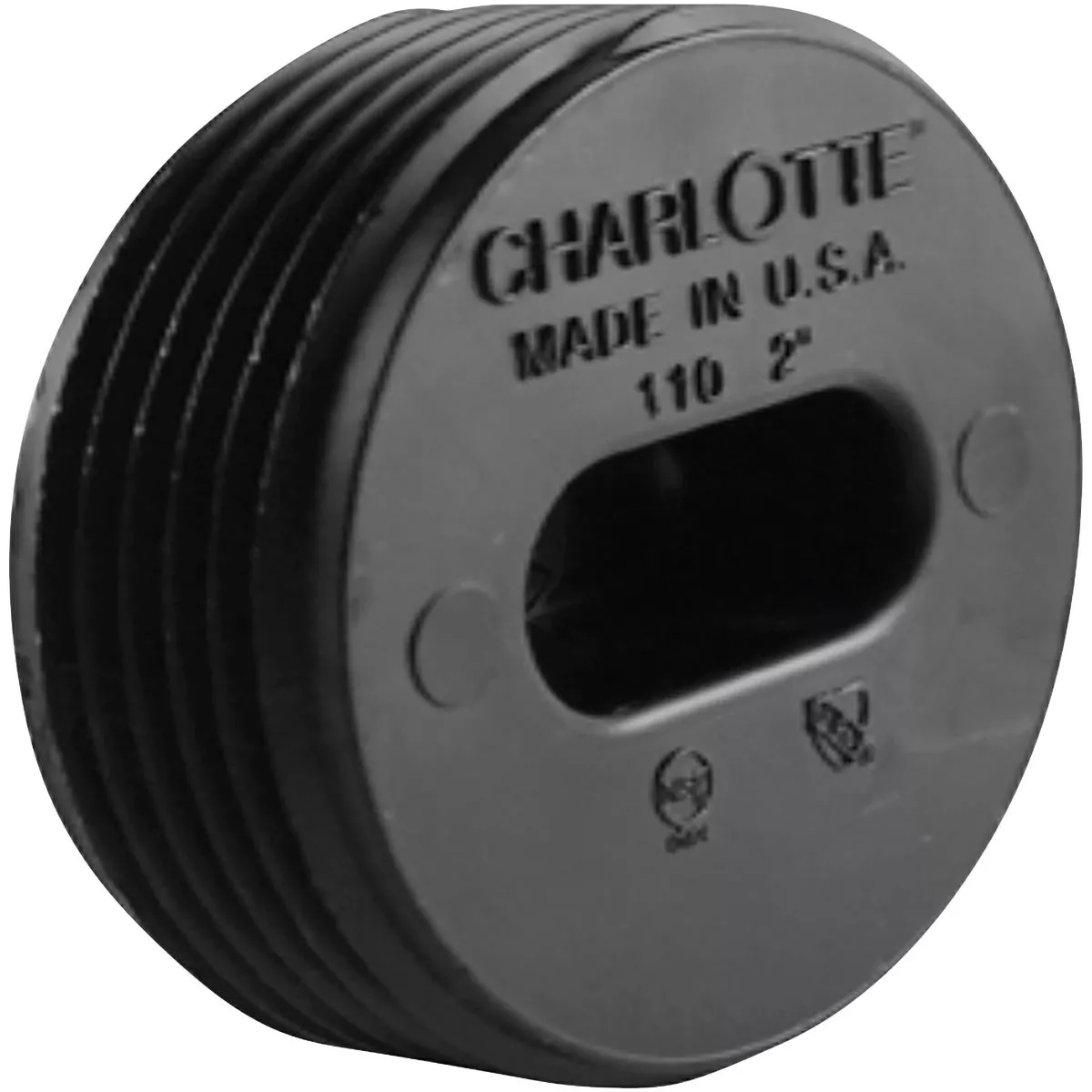 Charlotte Pipe 2 In. MIP Countersunk ABS Plug | True Value Hardware