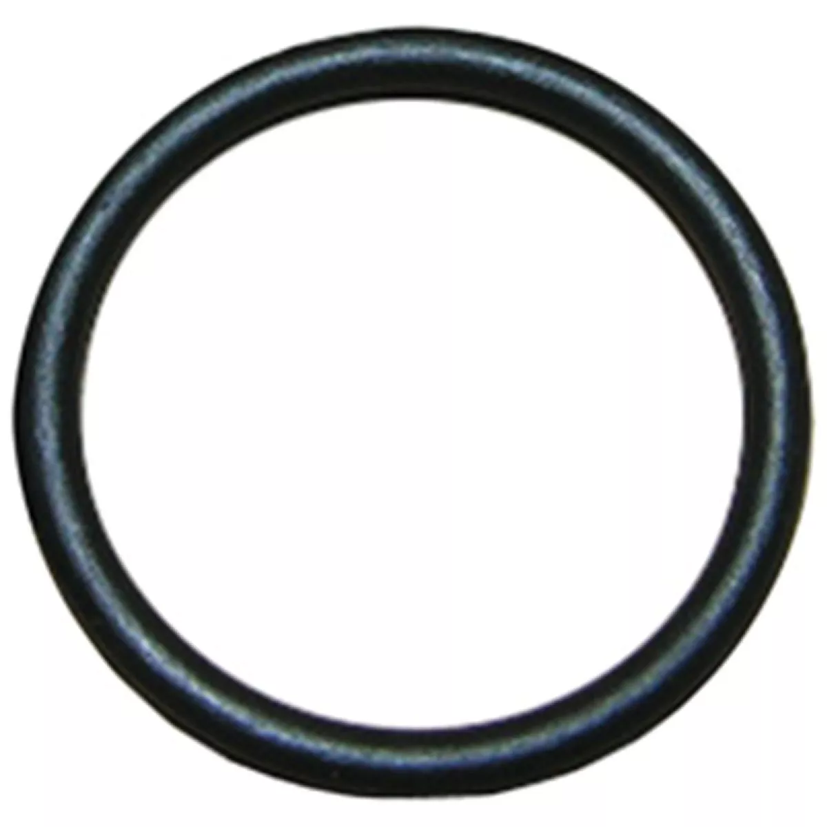 Lasco #44 13/16 In. x 1 In. O-Ring
