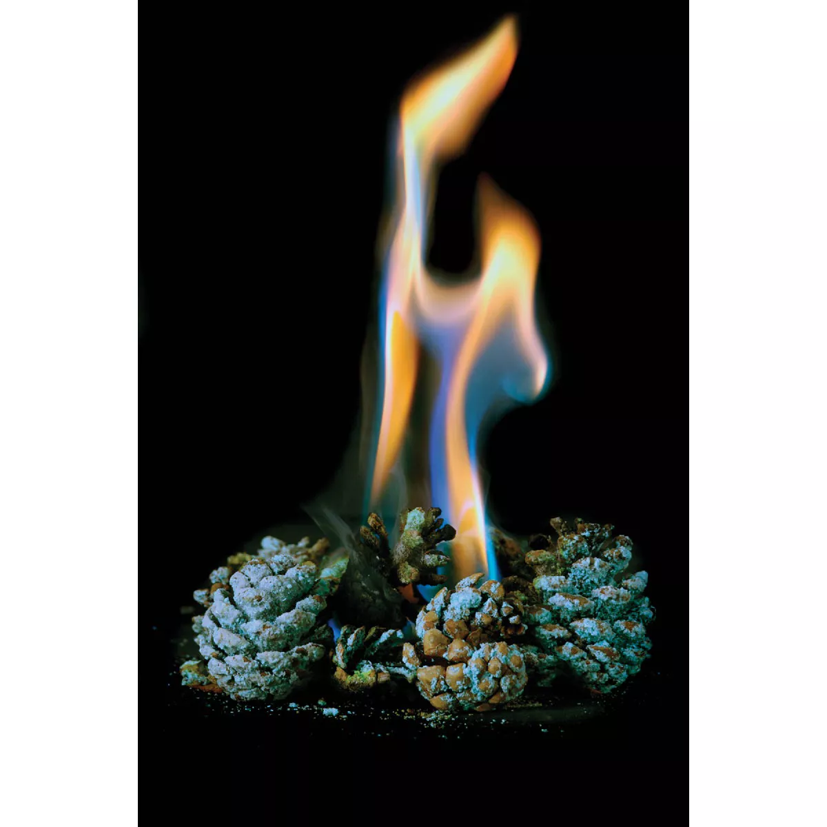 Meeco's Red Devil ColorGlo 1 Lb. Color Flame Cones - photo 4