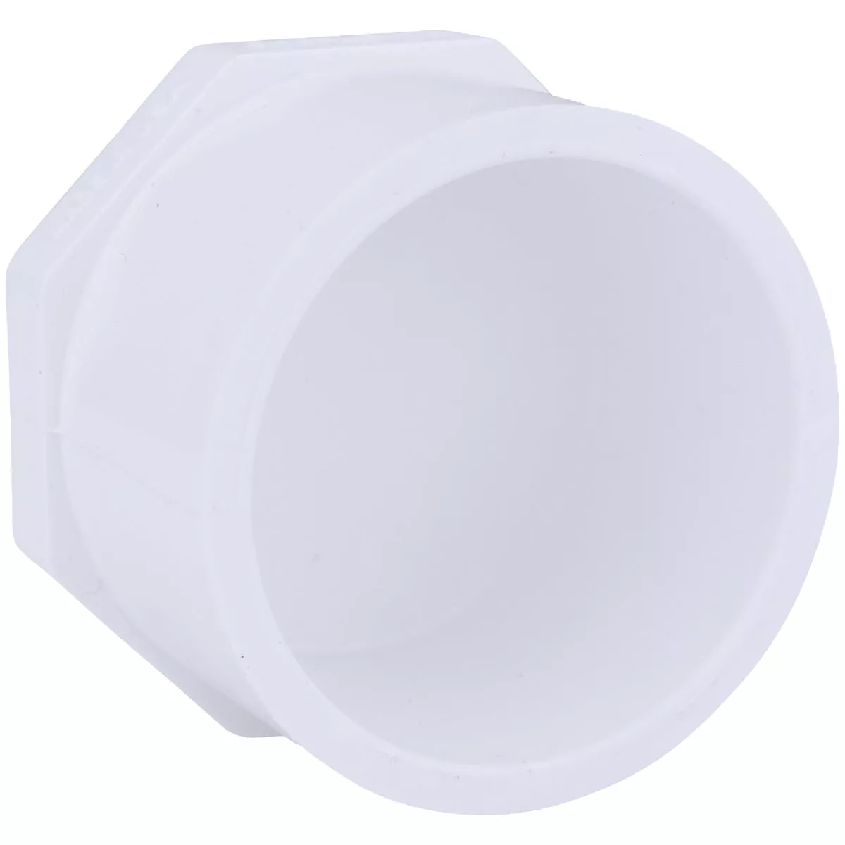 Charlotte Pipe Schedule 40 2 in. Spigot PVC Spigot Plug