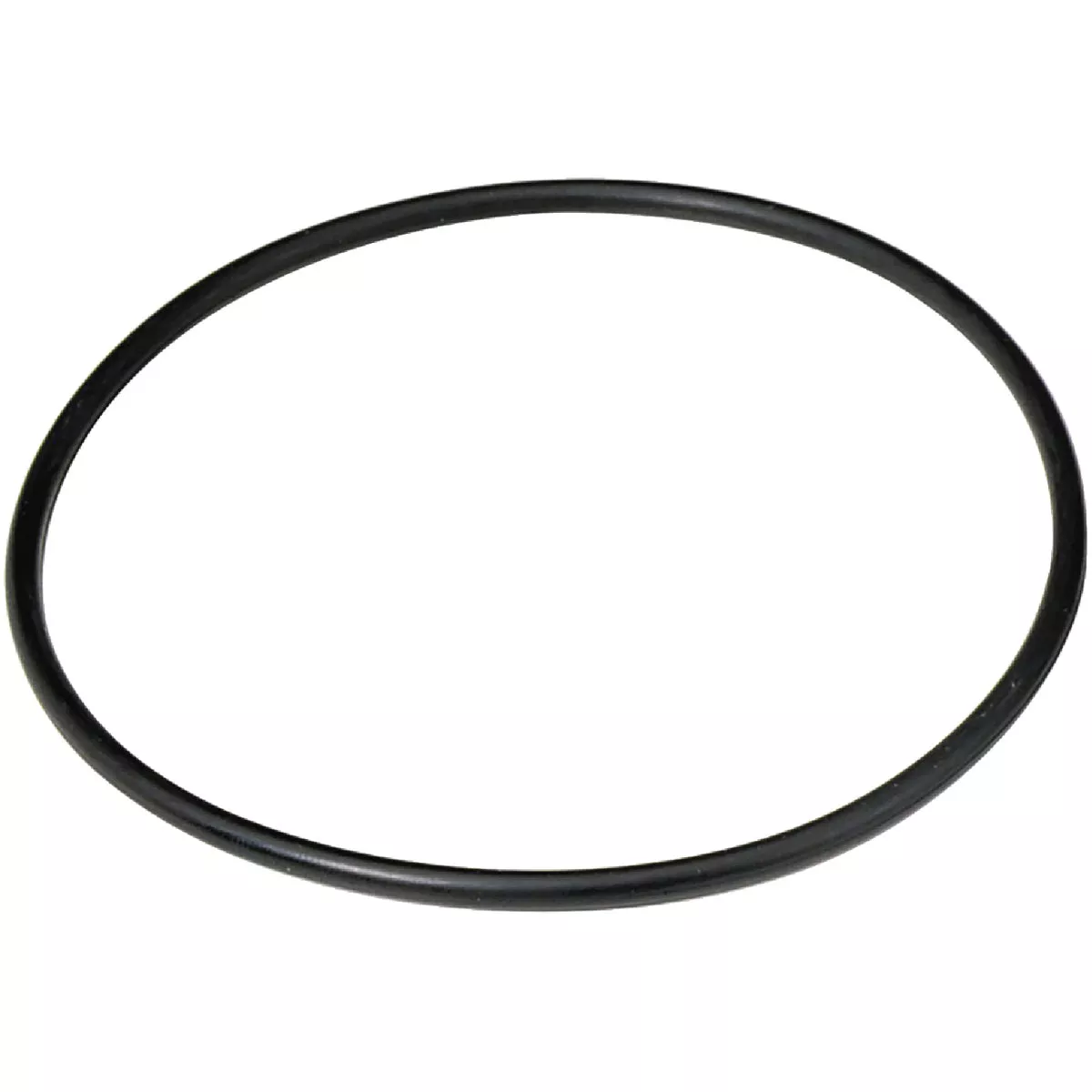 Culligan 3/4 In. Water Filter O-Ring, (2-Pack)