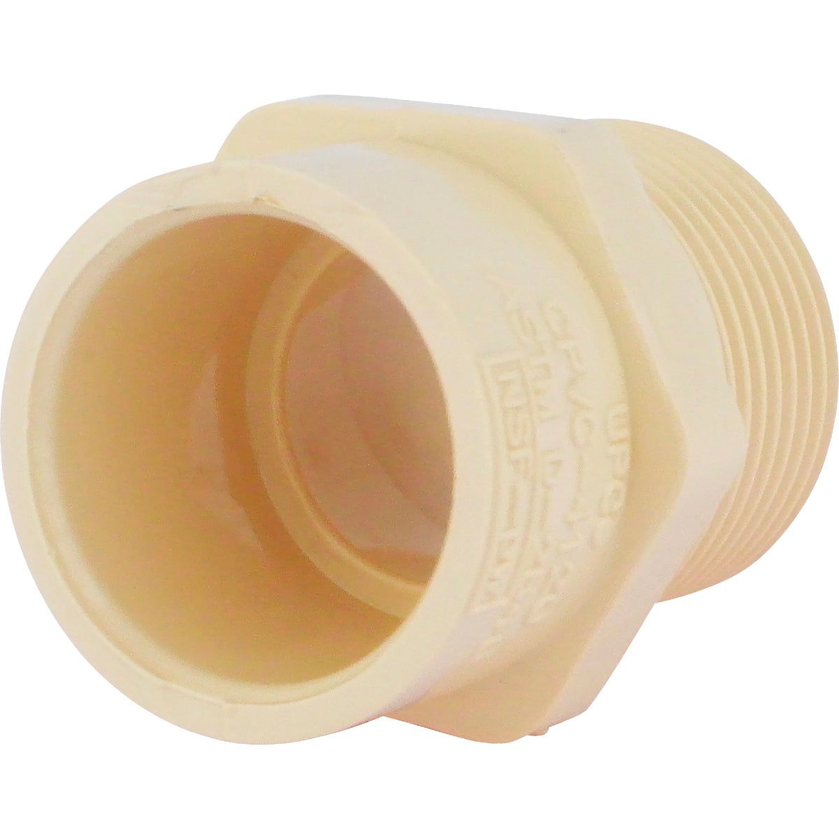 Charlotte Pipe 3/4 In. Male Thread to CPVC Adapter | Do it Best