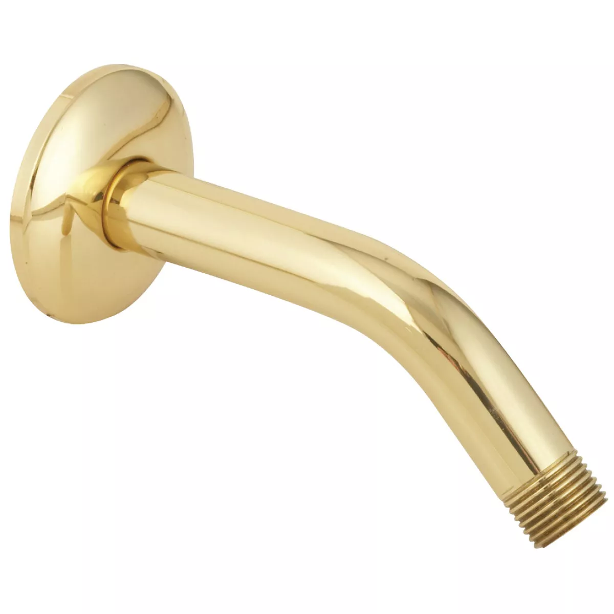 Do it 6 In. Polished Brass Shower and Flange