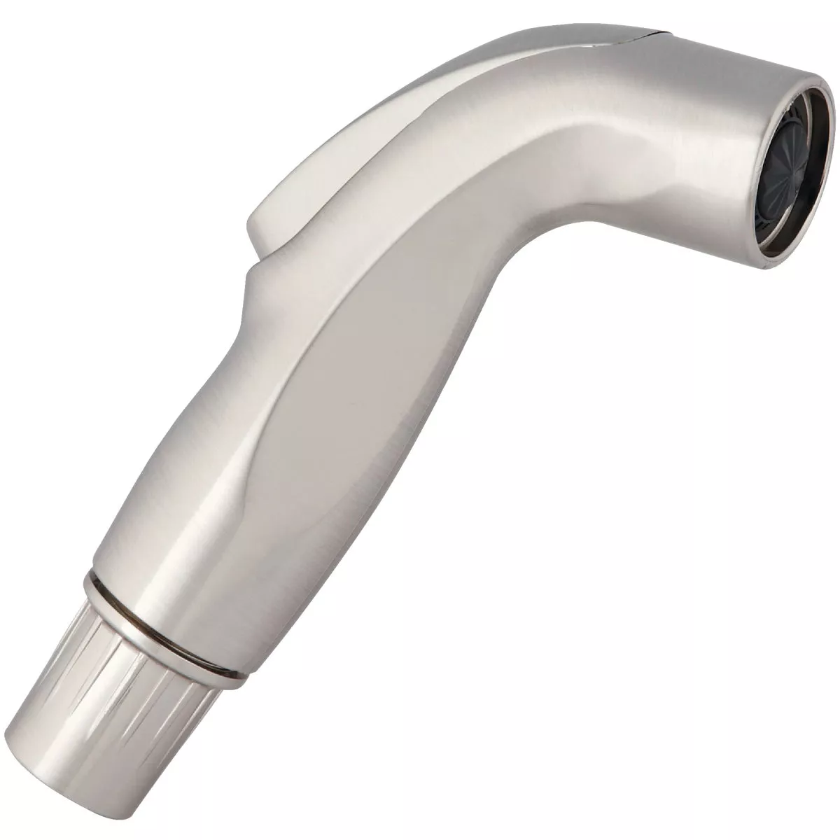 Do it Stainless Steel Replacement Sprayer Head