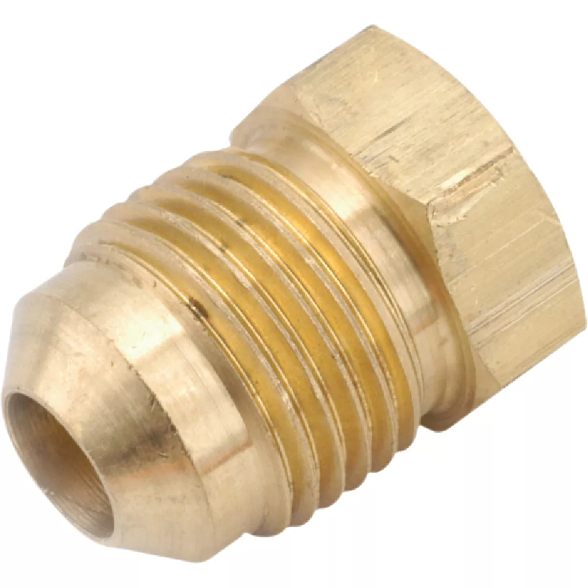 Anderson Metals 1/4 In. Brass Flare Plug