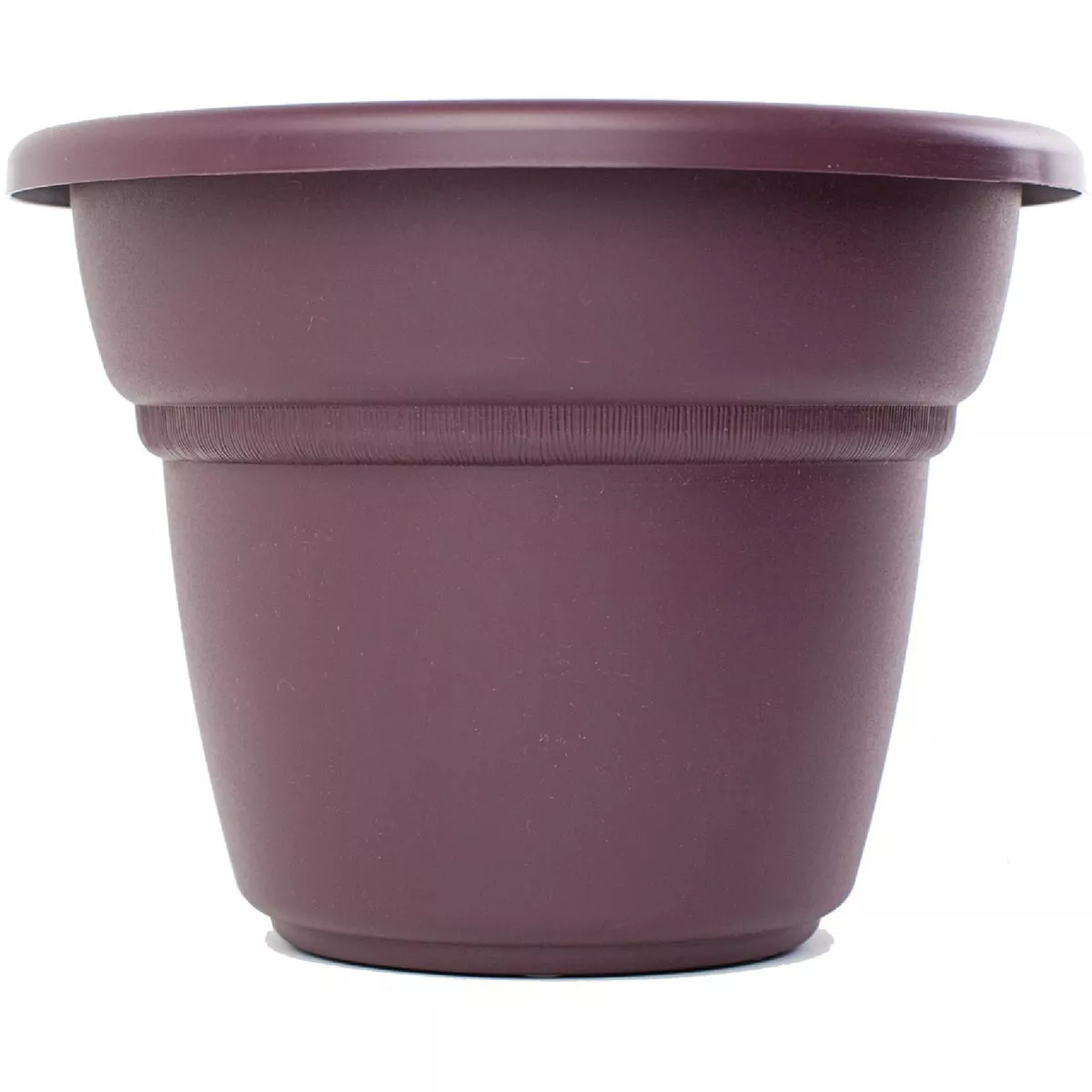 Bloem Milano 5.75 In. x 7.5 In. High Density Plastic Exotica Planter