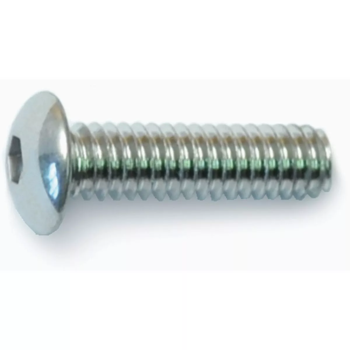 Midwest Fastener #8-32 x 5/8 In. Polished 18-8 Stainless Steel Coarse Thread Button Head Socket Cap Screws (10 Ct.)