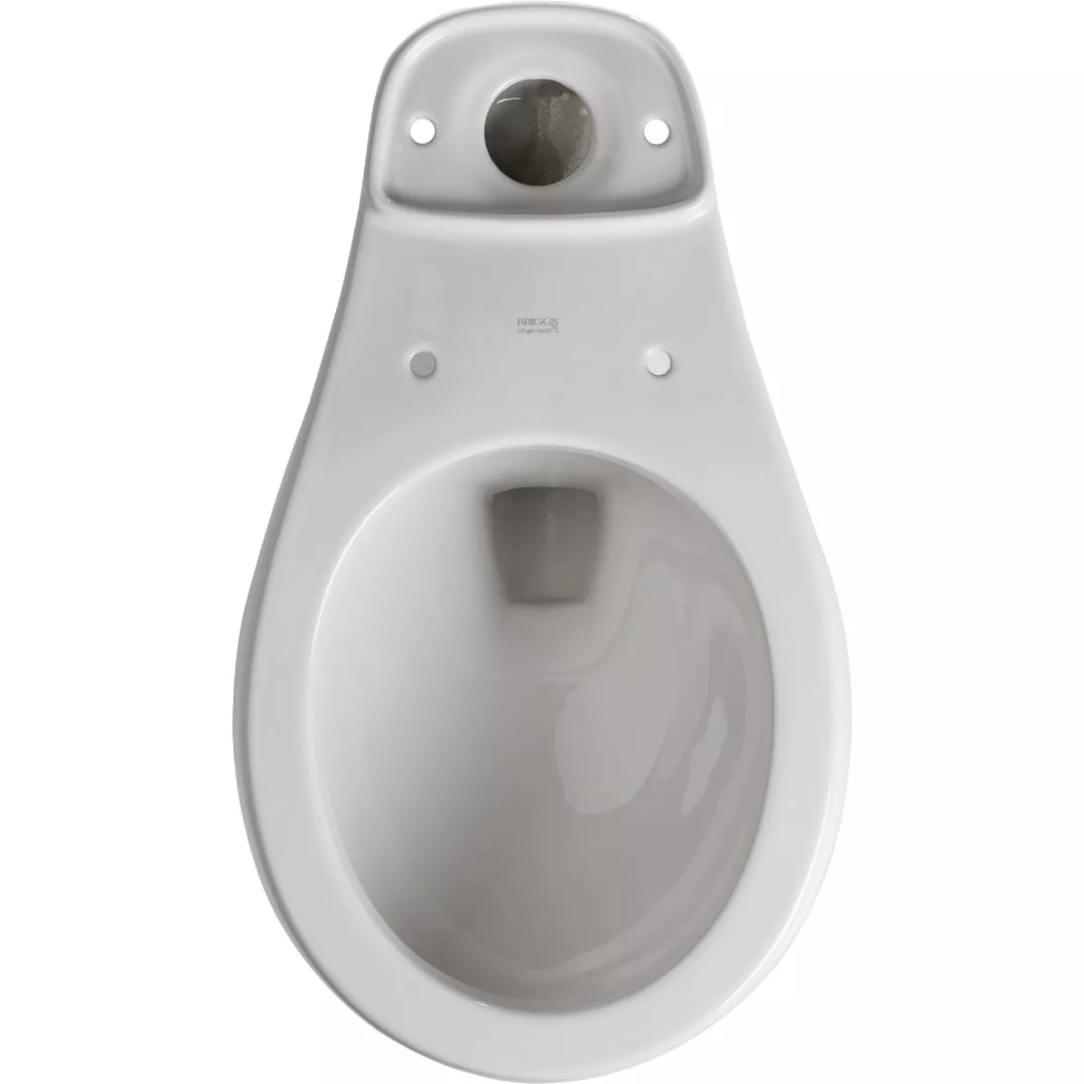 Briggs Abingdon White Round 10 In. Rough-In Toilet Bowl - photo 2