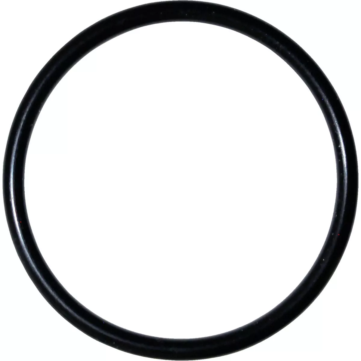 Danco #81 1 In. x 1-1/8 In. Buna-N O-Ring