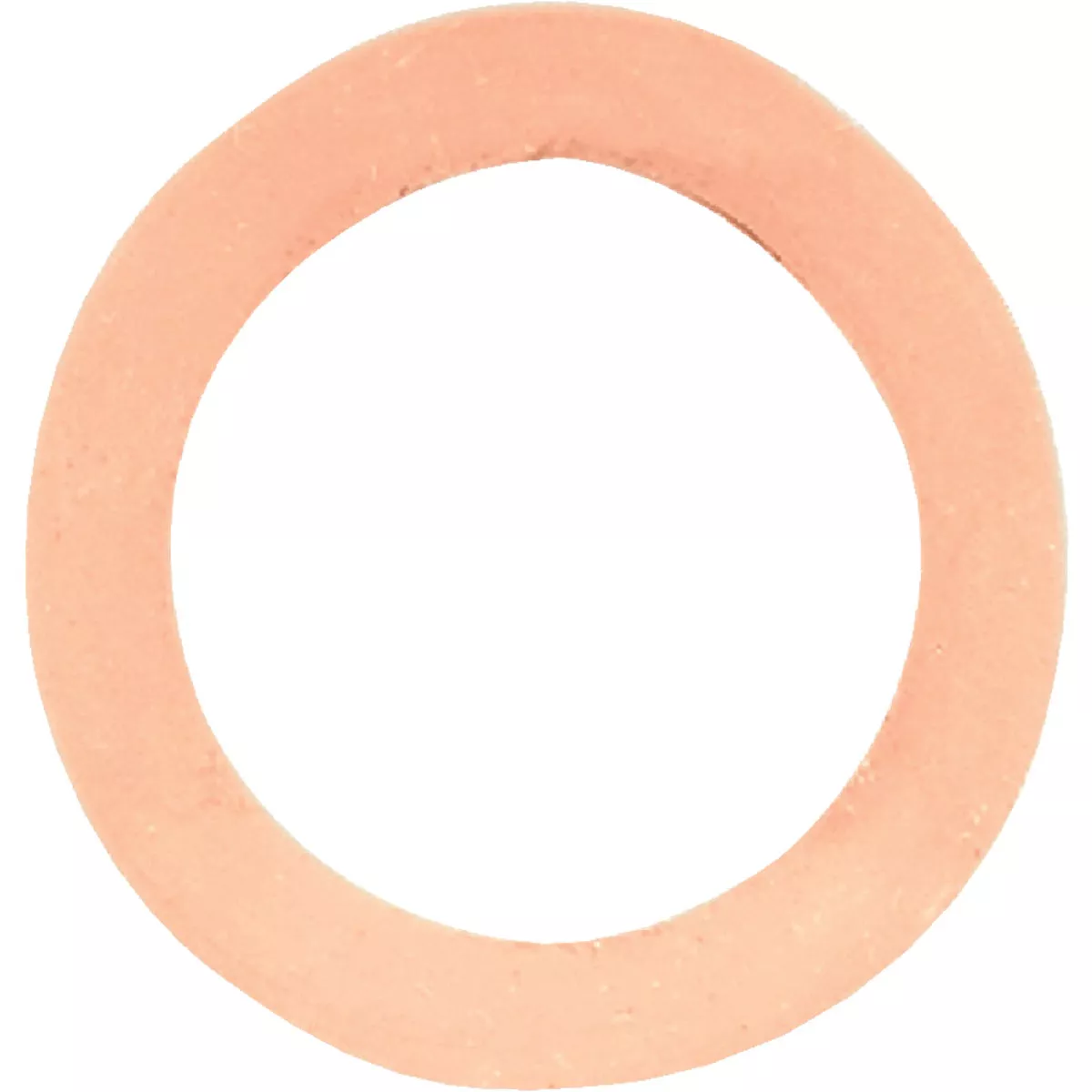 Danco Oval Rubber Hose Washer
