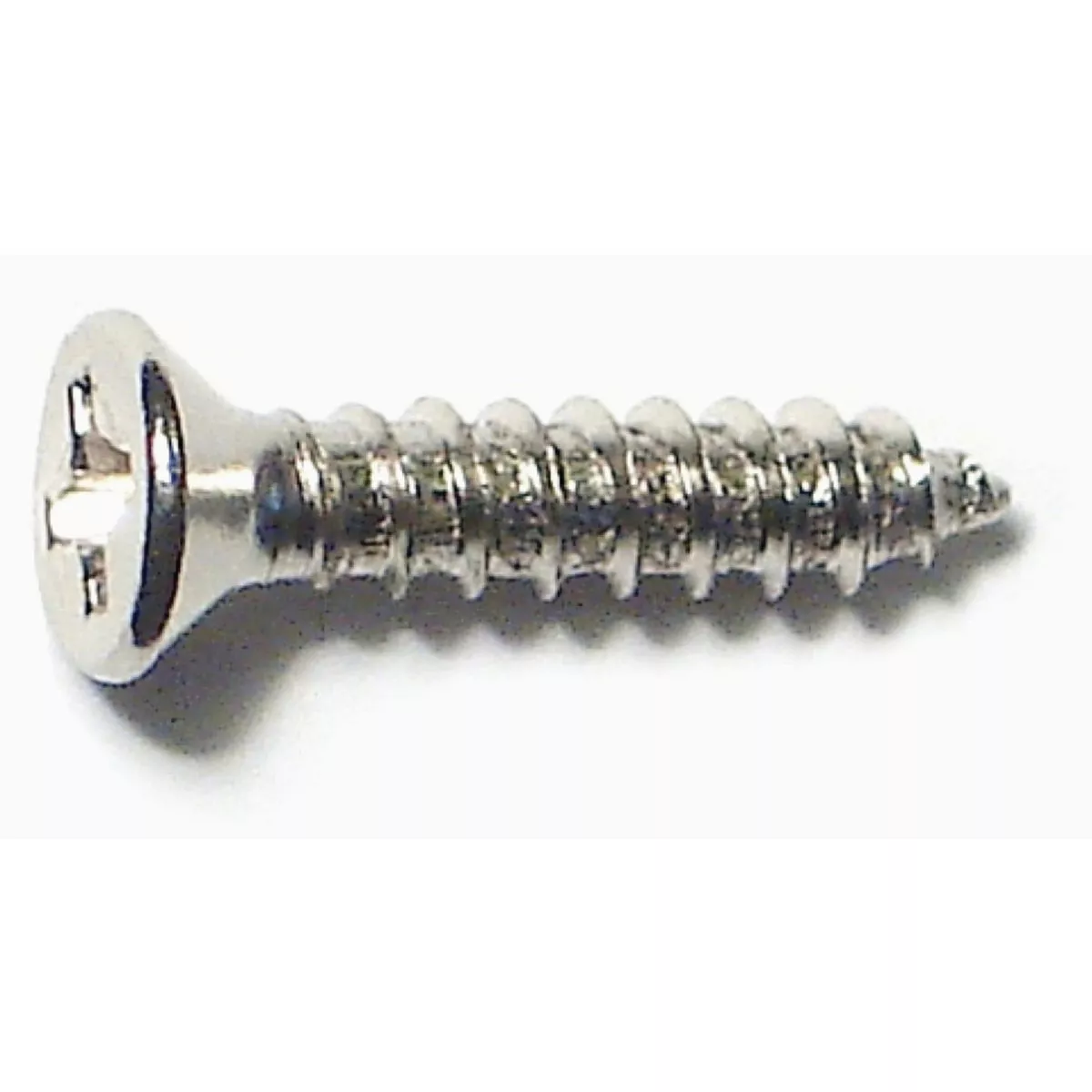 Midwest Fastener #5 x 5/8 In. Chrome Plated Steel Phillips Flat Head Hinge Screws (50 Ct.)