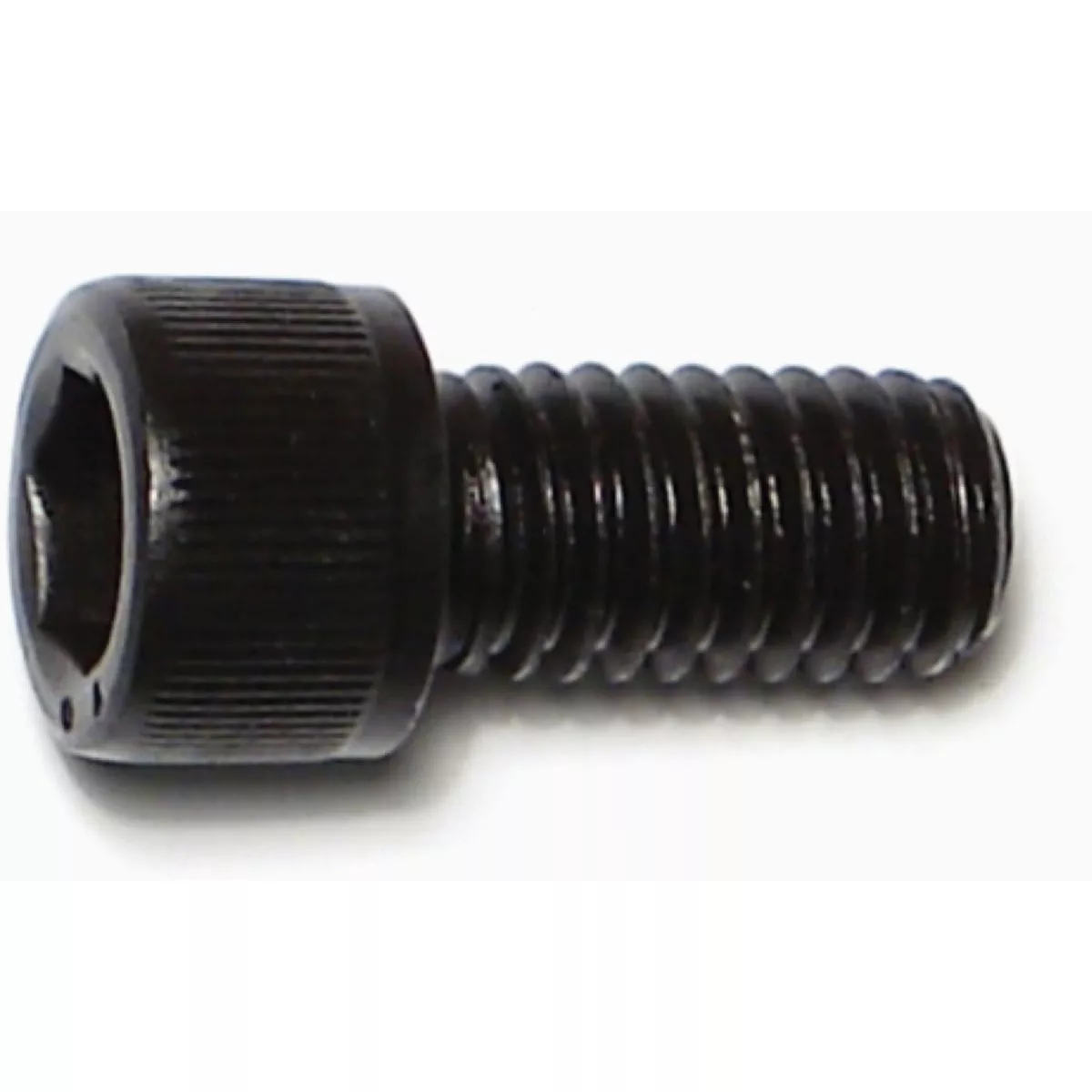 Midwest Fastener 3/8 In.-16 x 3/4 In. Plain Steel Coarse Thread Socket Cap Screws (6 Ct.)-