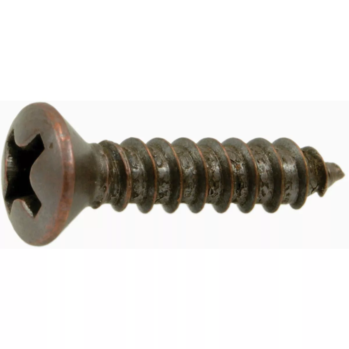 Midwest Fastener #6 x 5/8 In. Steel Phillips Oval Head Decorative Sheet Metal Screws