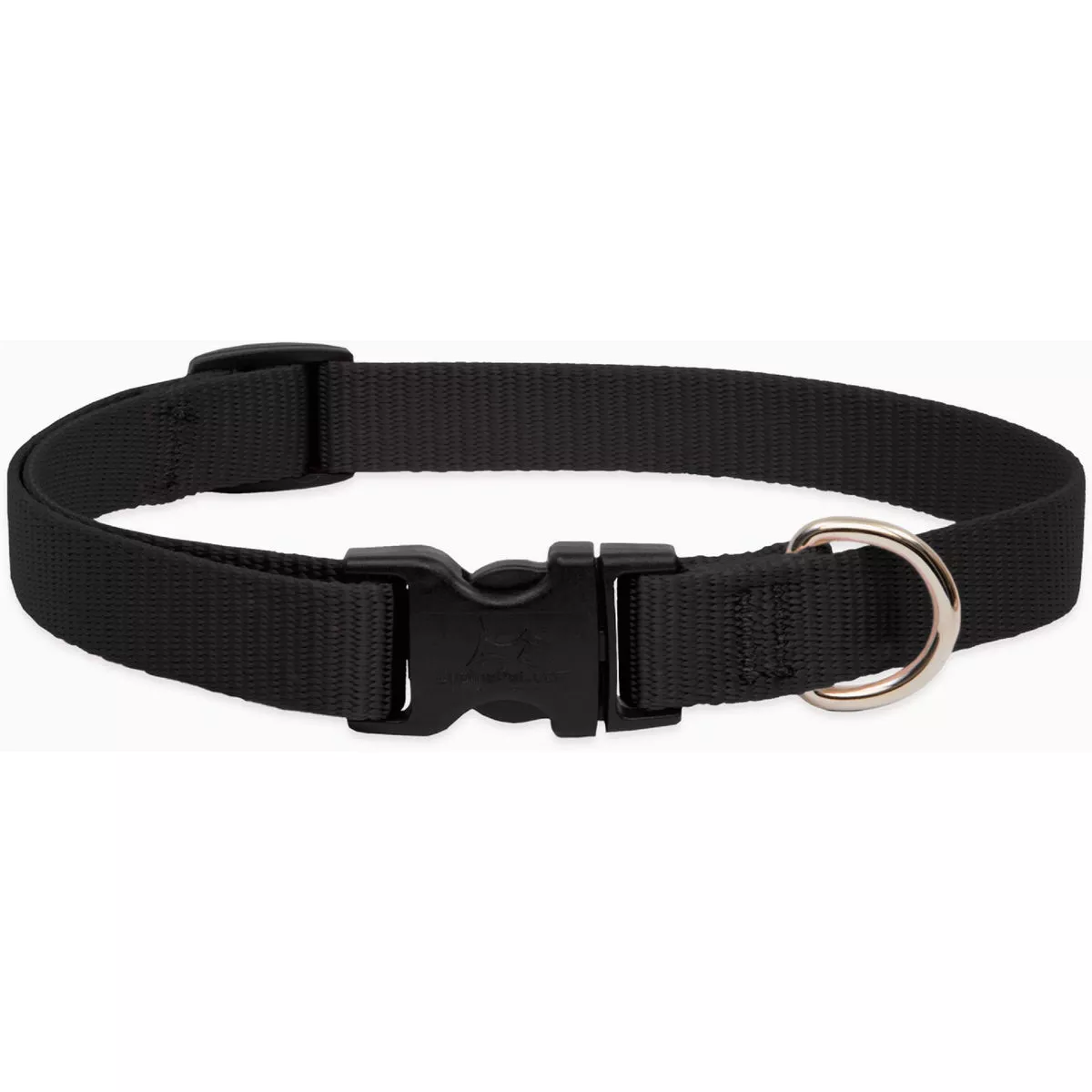 Lupine Adjustable 8 to 12 In. Black Puppy & Small Dog Nylon Dog Collar