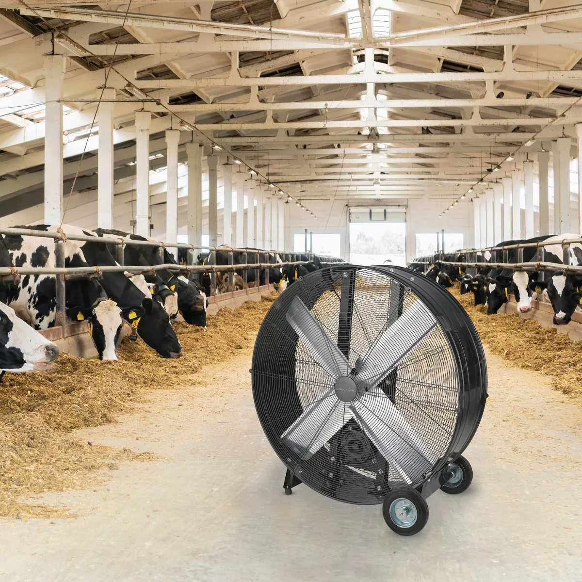 Denali Aire 36 In. 2-Speed High Velocity Black Belt Drive Drum Fan - photo 2