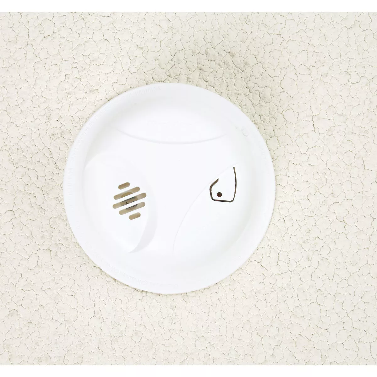 First Alert Long Life Battery Operated 9V Ionization Smoke Alarm - photo 3