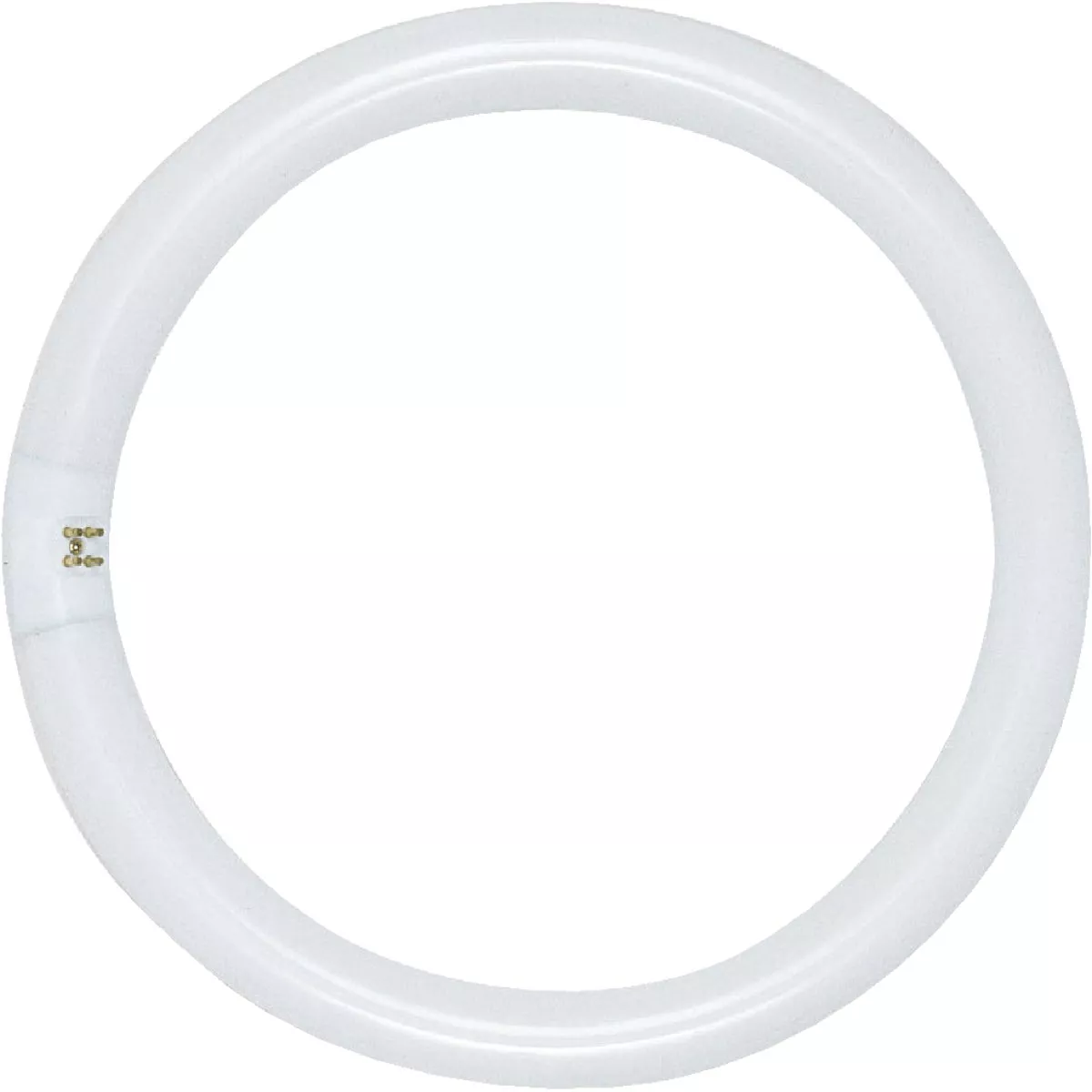 Satco 32W 12 In. Cool White T9 Circline 4-Pin Fluorescent Tube Light Bulb