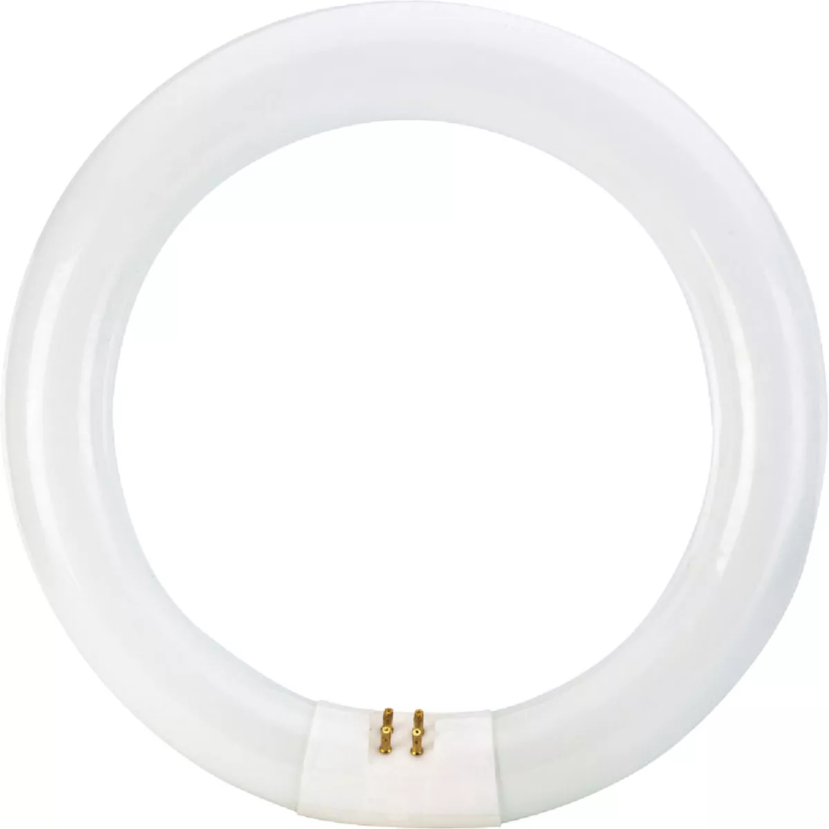 Philips 22W 8 In. Cool White T9 4-Pin Circline Fluorescent Tube Light Bulb - photo 3