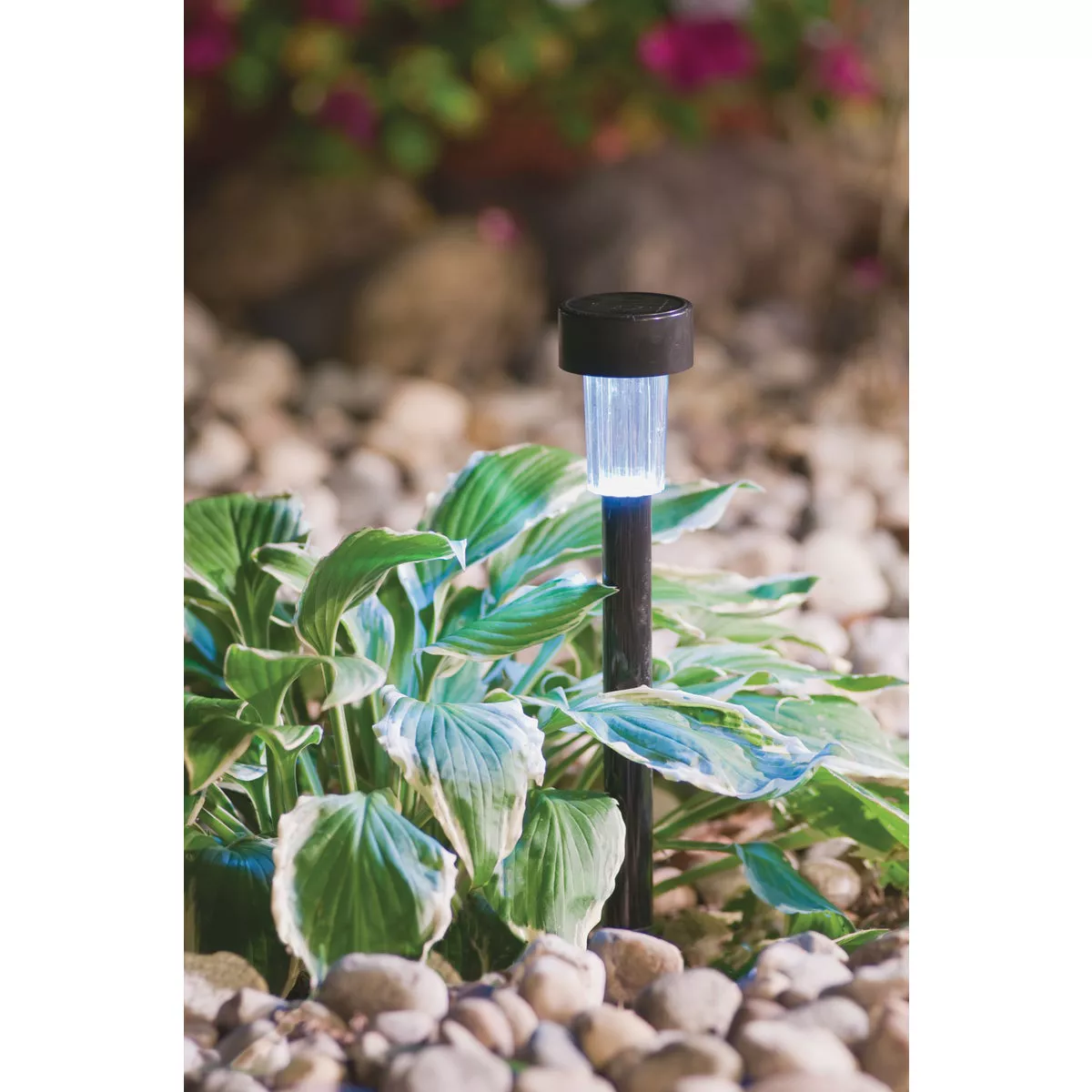 Outdoor Expressions Black 2.10 Lumens Metal Mini Solar Path Light - photo 2