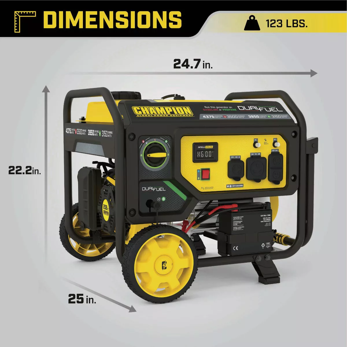 Champion 3500W Dual Fuel Electric/Recoil Start Portable Generator - photo 7