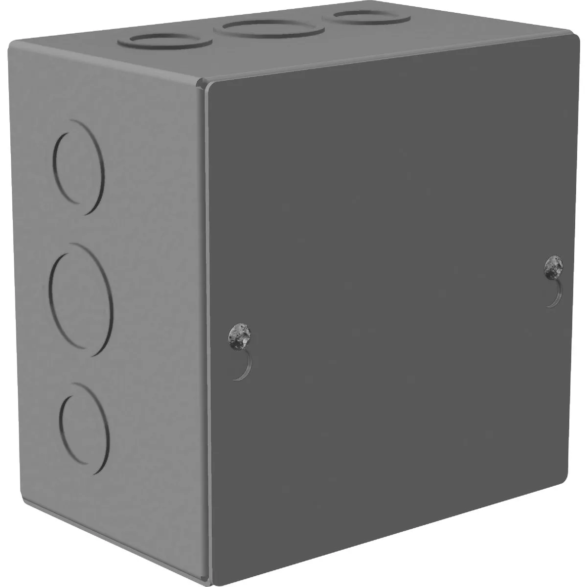 Southwire 6 In. x 6 In. x 4 In. NEMA 1 Screw Cover Enclosure