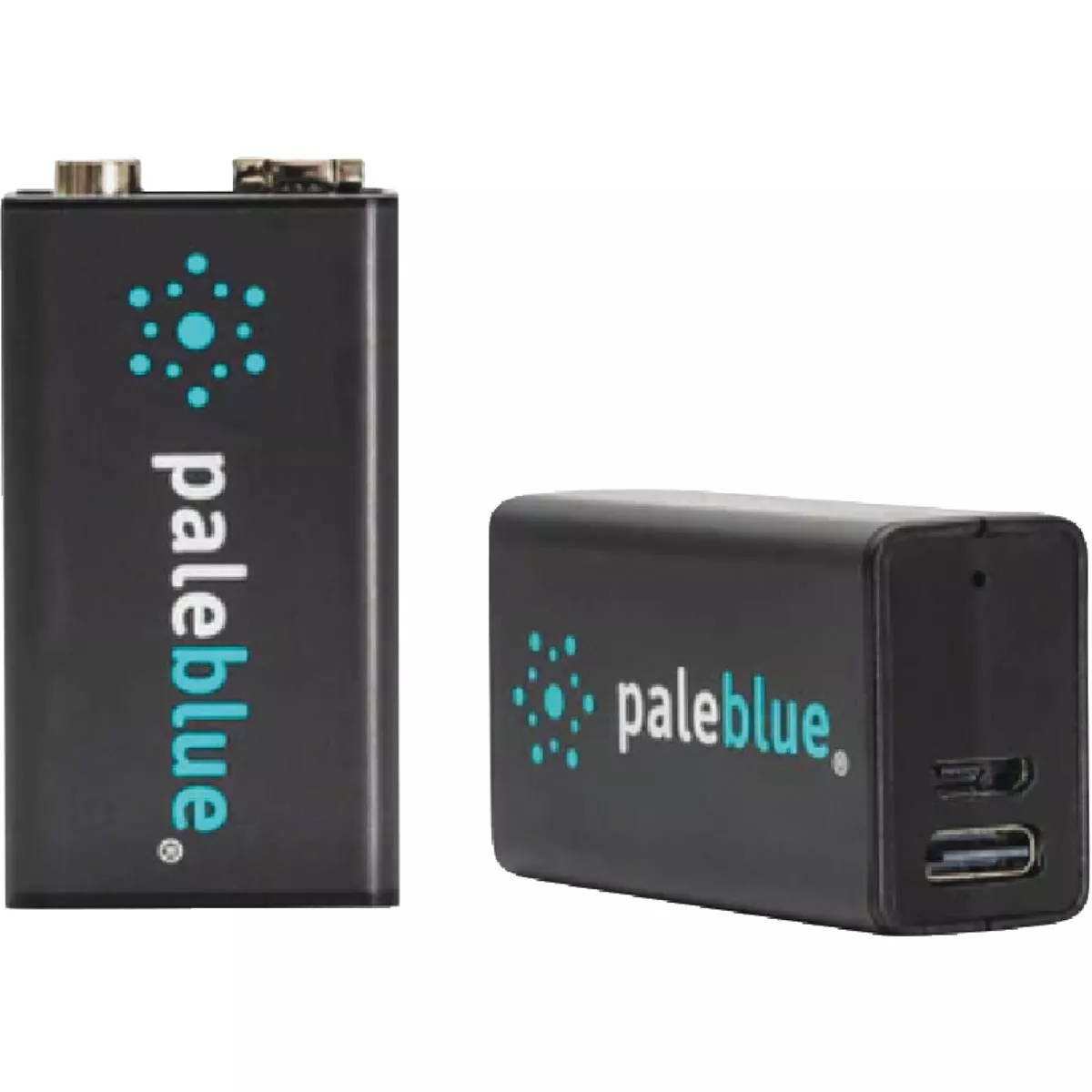Paleblue 9V Lithium-Ion Rechargeable Battery (2-Pack)