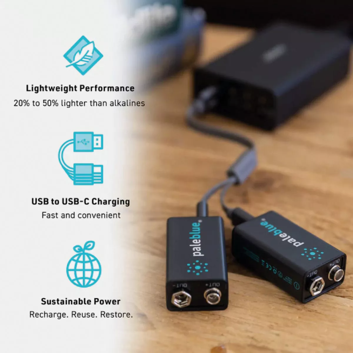 Paleblue 9V Lithium-Ion Rechargeable Battery (2-Pack) - photo 5