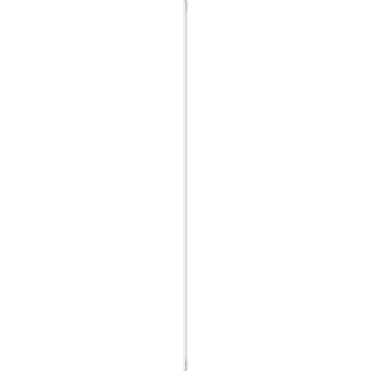 Philips Ballast Bypass 96 In. Cool White T8 Single Pin LED Tube Light Bulb (2-Pack)