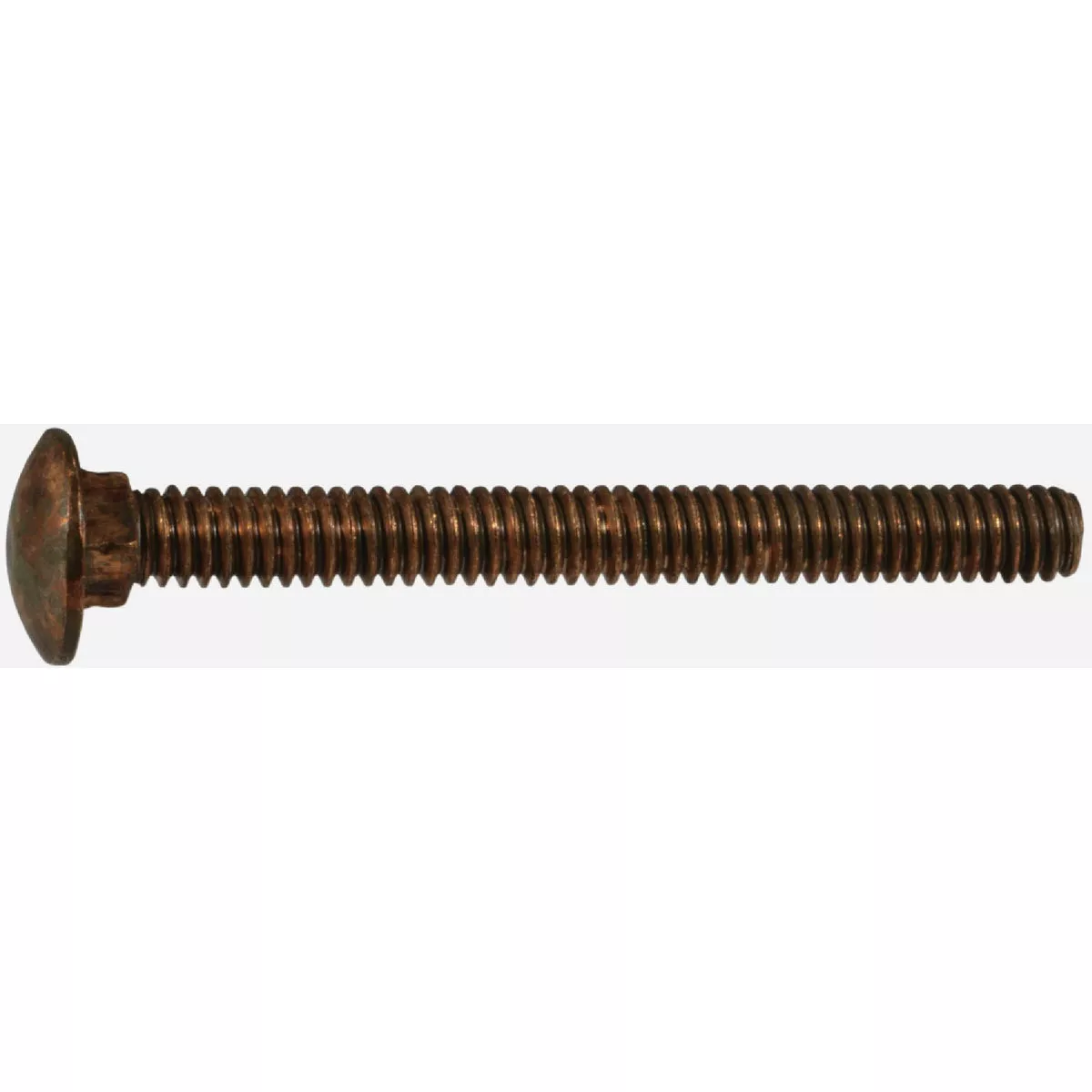 Midwest Fastener 1/4 In.-20 x 2-1/2 In. Silicon Bronze Coarse Thread Carriage Bolt