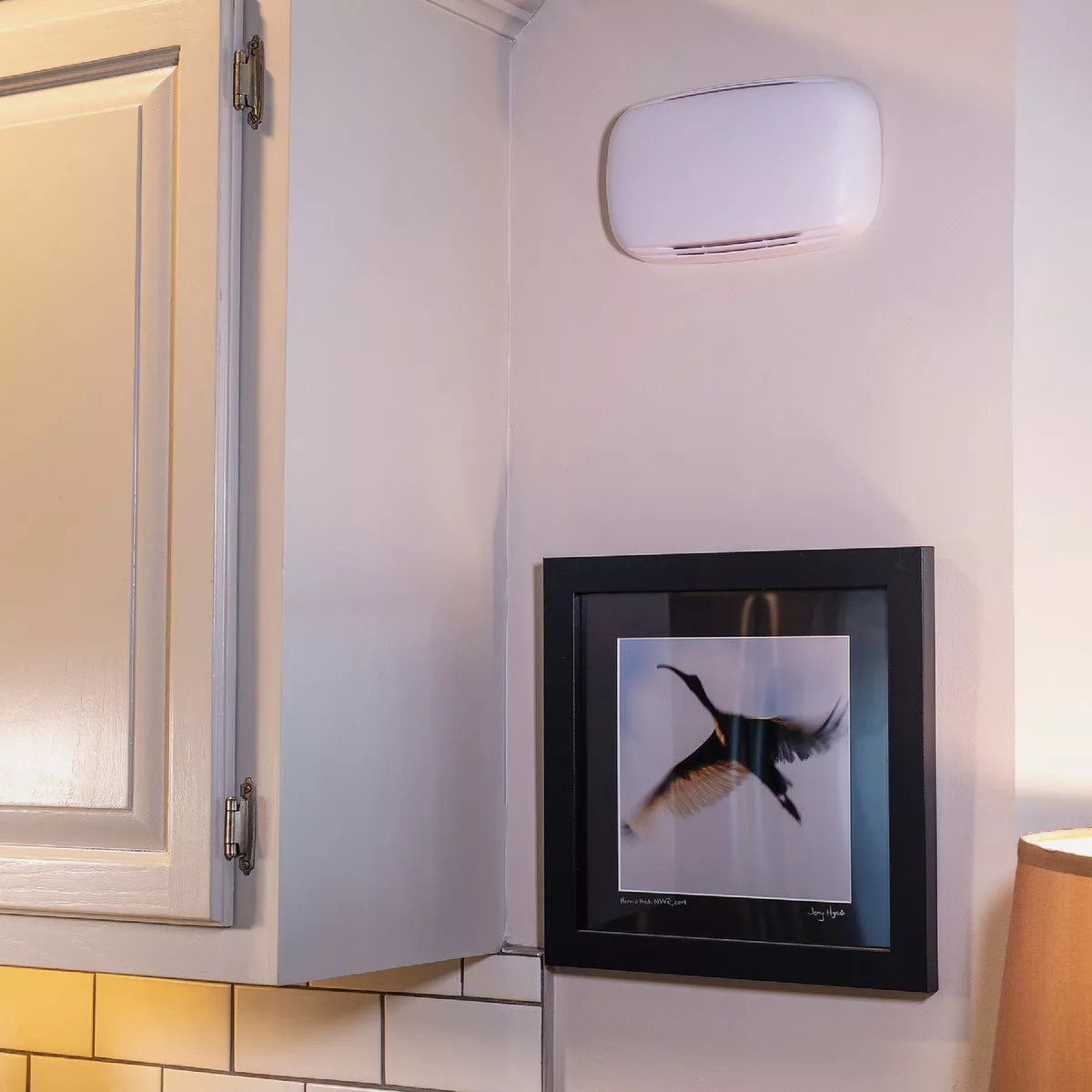 Heath Zenith White Plastic Wired Door Chime - photo 3