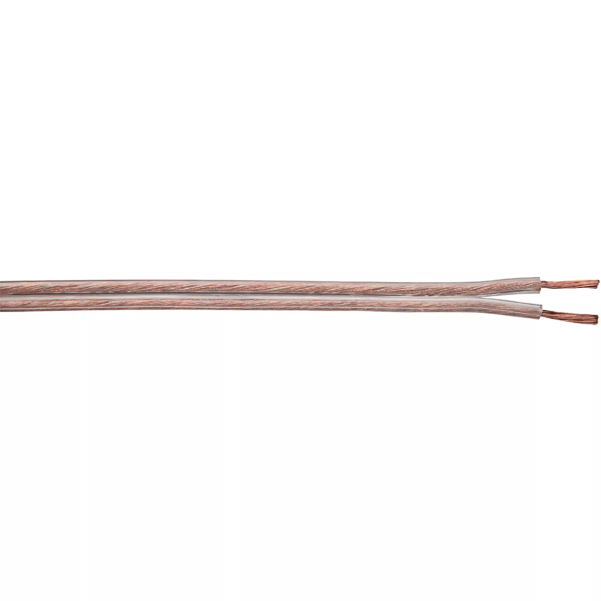 Coleman Cable 250 Ft. 12/2 Stranded Speaker Wire